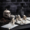 Just Love Skulls Skeleton Trio