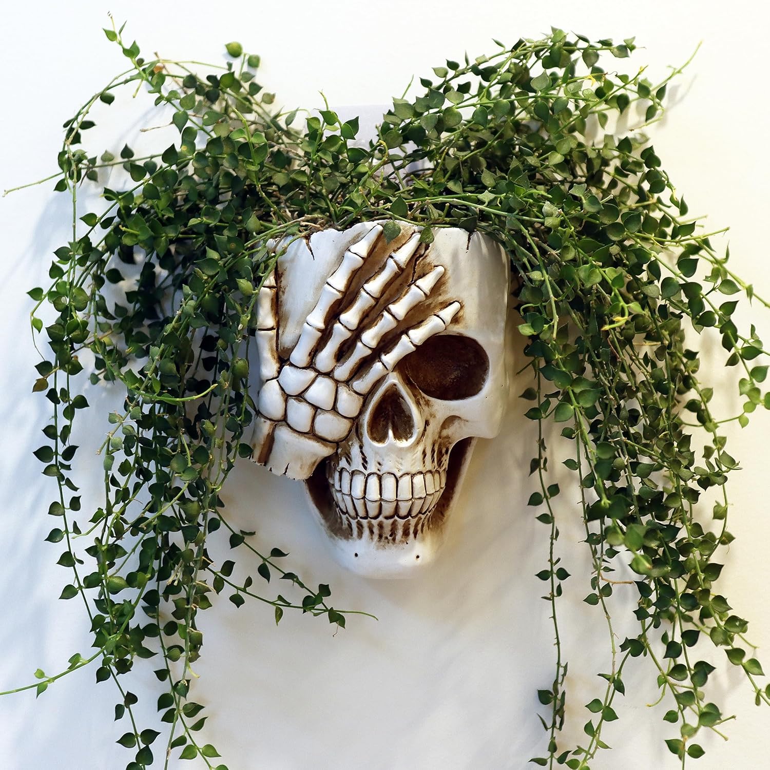 Just Love Skulls Wall Planter