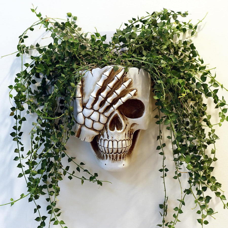 Just Love Skulls Wall Planter