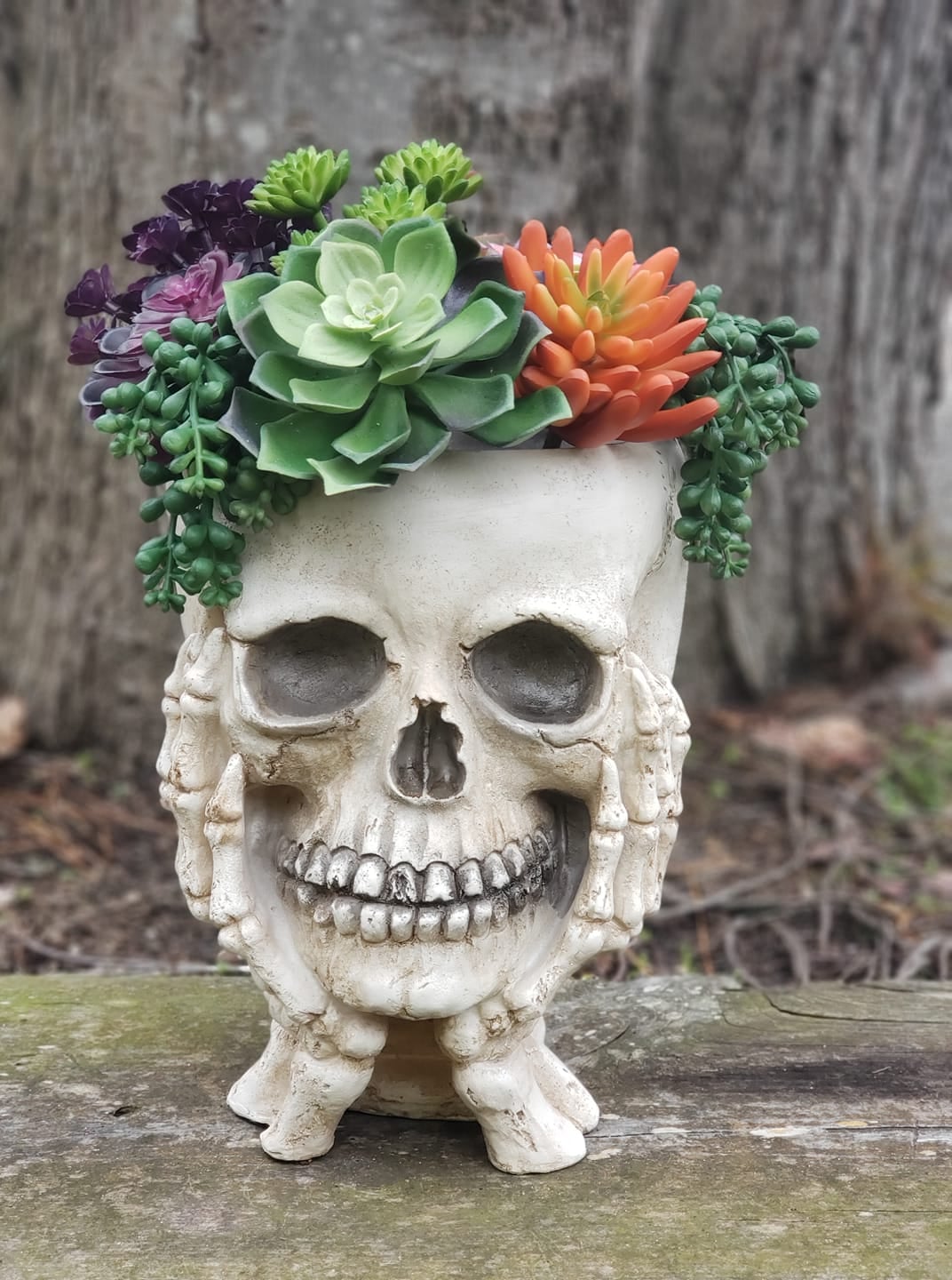 skull succulent planter Planter Flower Pot with Skeleton Hands